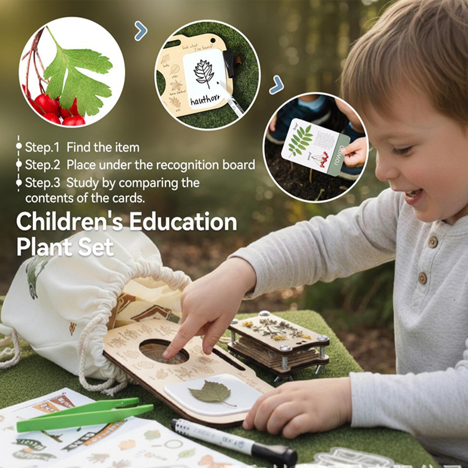 Outdoor Adventure Activities For Kids - 야외 탐험 장난감 식물 관찰 놀이